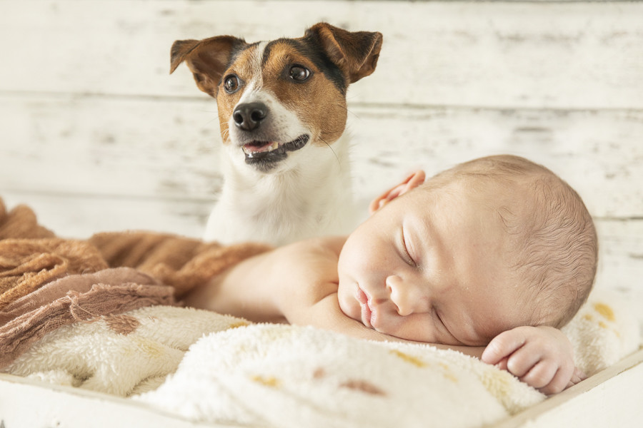 0007-_U6A2908-Editar