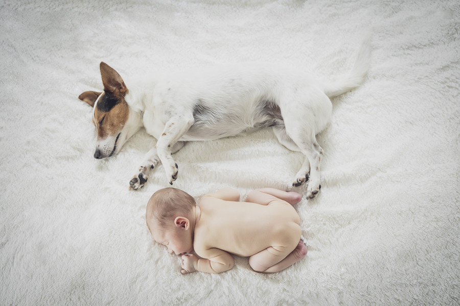 0009-_U6A2920-Editar